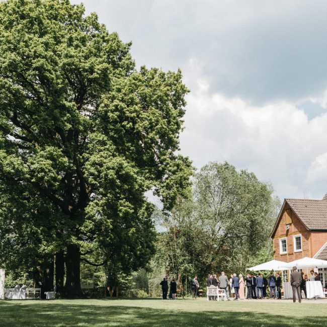 Freie Trauung _ Fotografen Fotos - 8416949